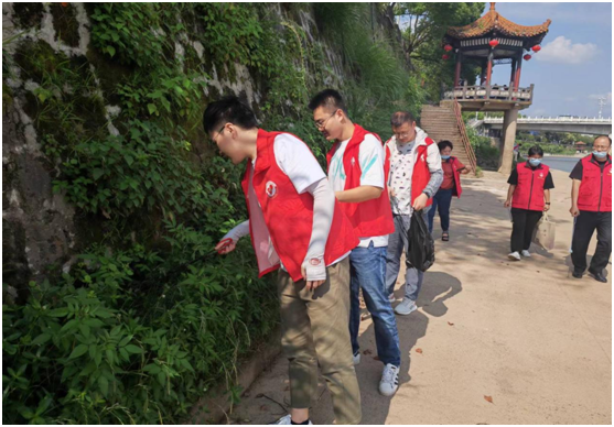 党建领航：老街滨江联合党支部开展保护母亲河环境整治志愿服务活动
